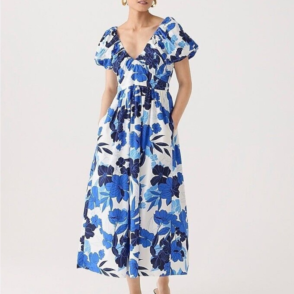 Jcrew Cecily dress in painted floral print
